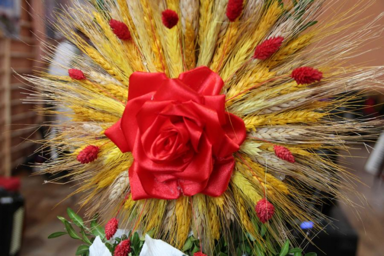 Niedziela Palmowa w Mieczkowie