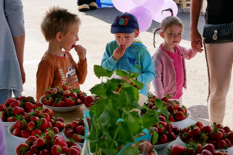 Powiatowy Dzień Dziecka pełen atrakcji