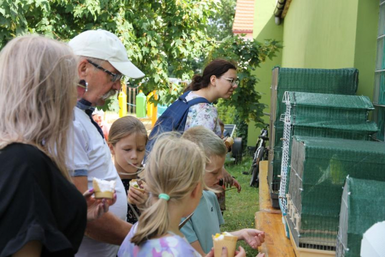 Lato z Komarami w Malczycach