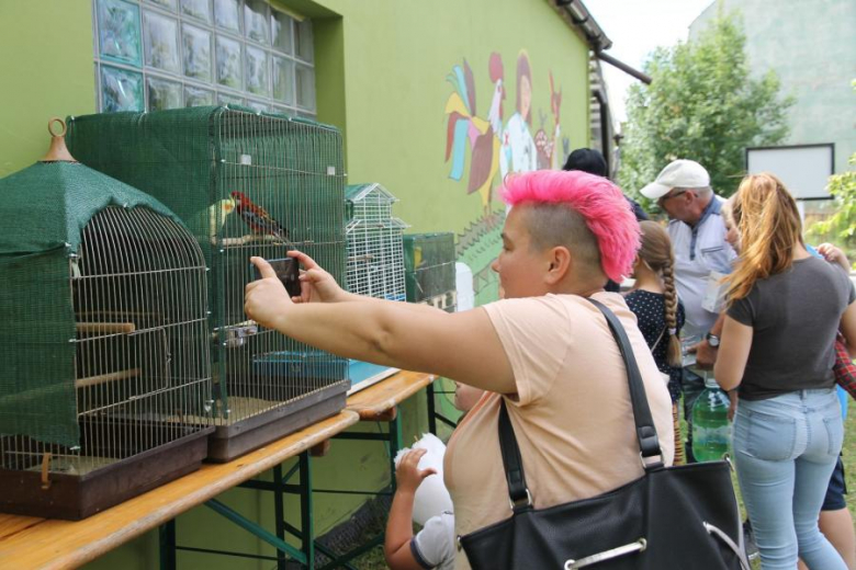 Lato z Komarami w Malczycach