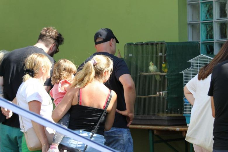 Lato z Komarami w Malczycach