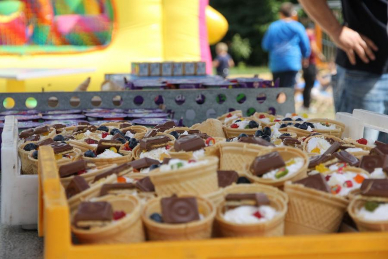 Lato z Komarami w Malczycach