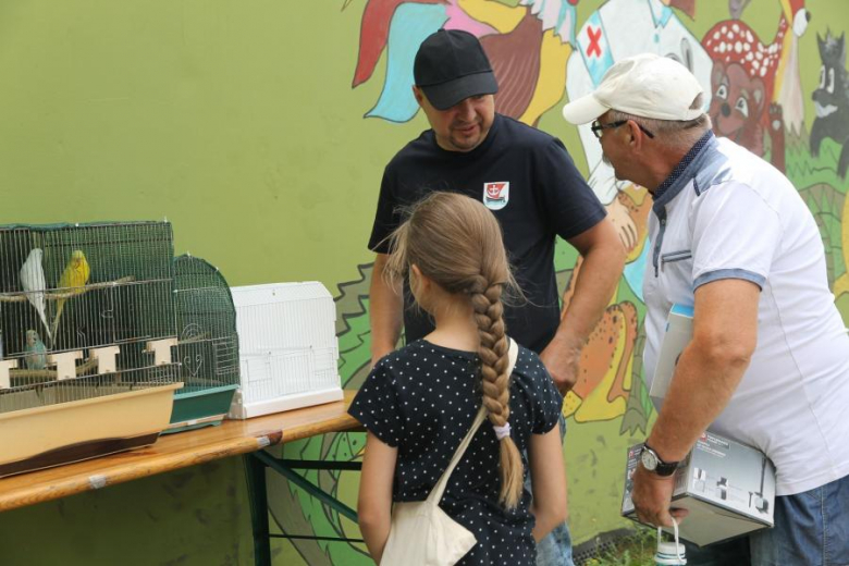 Lato z Komarami w Malczycach