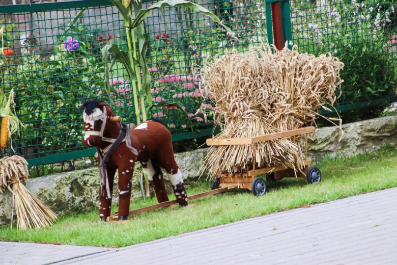 Rozstrzygnięcie konkursów dożynkowych