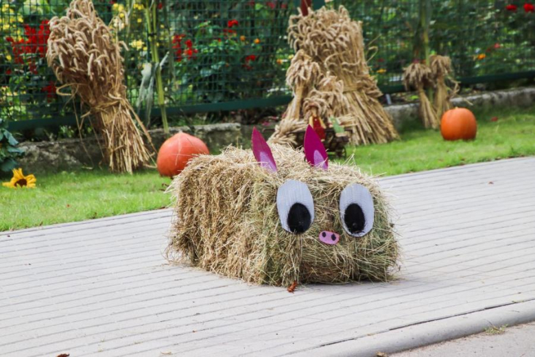 Rozstrzygnięcie konkursów dożynkowych