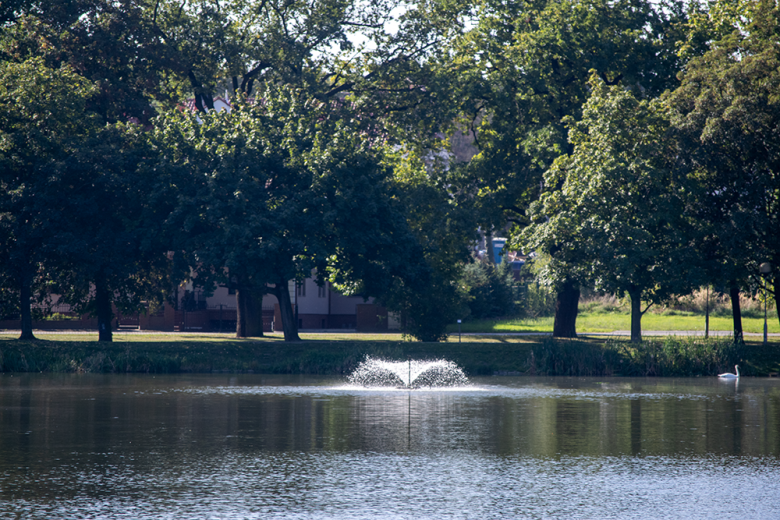 Kolejny, wyjątkowy mural odsłonięto w Środzie Śląskiej