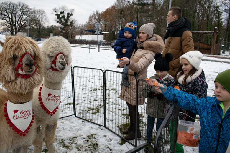 Kiermasz Bożonarodzeniowy w Miękini