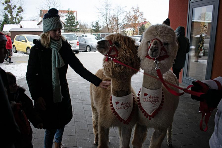 Kiermasz Bożonarodzeniowy w Lutyni