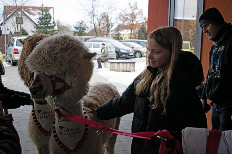 Kiermasz Bożonarodzeniowy w Lutyni