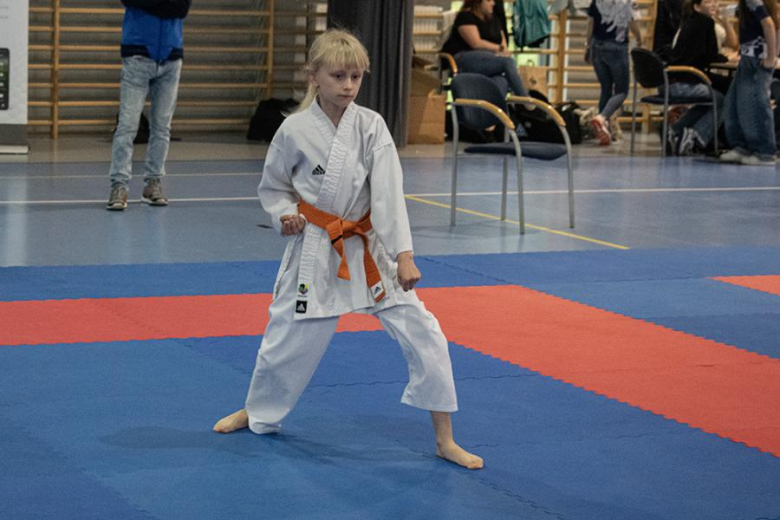 Mistrzostwa Gminy Miękinia w Karate