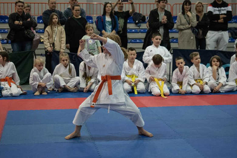 Mistrzostwa Gminy Miękinia w Karate