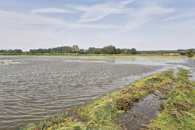 Gmina Środa Śląska wprowadza stan pogotowia przeciwpowodziowego