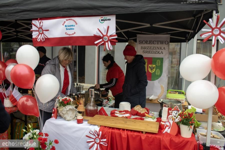 Obchody Święta Niepodległości w Środzie Śląskiej