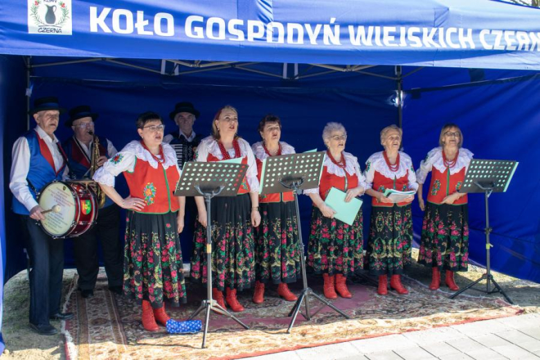 Nowa altana w Czernej 