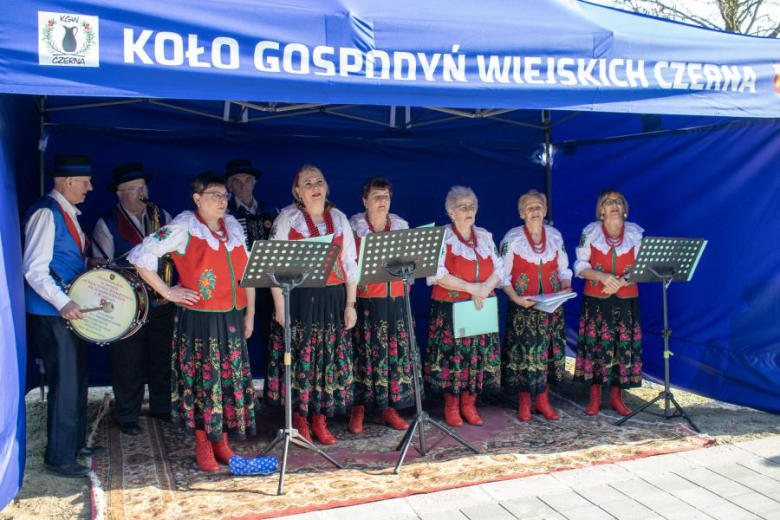 Nowa altana w Czernej 