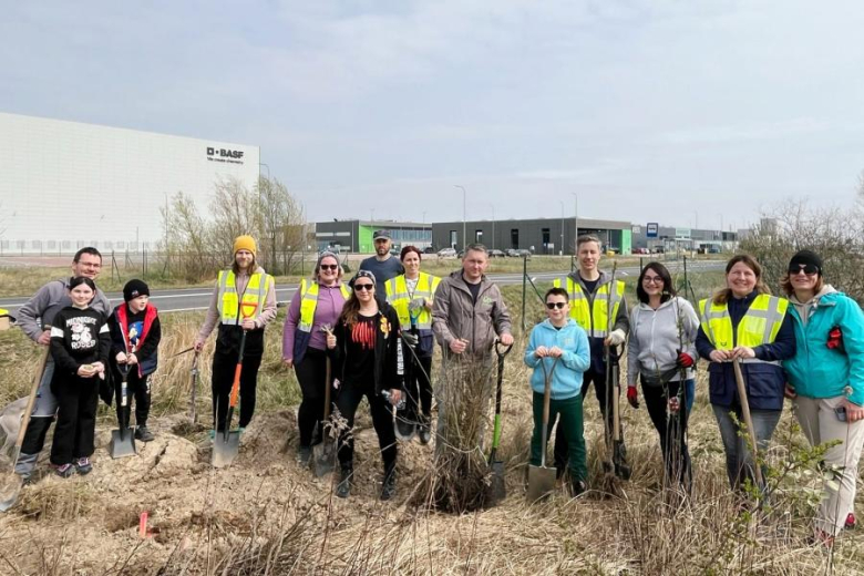 Nowe nasadzenia wzdłuż DK94