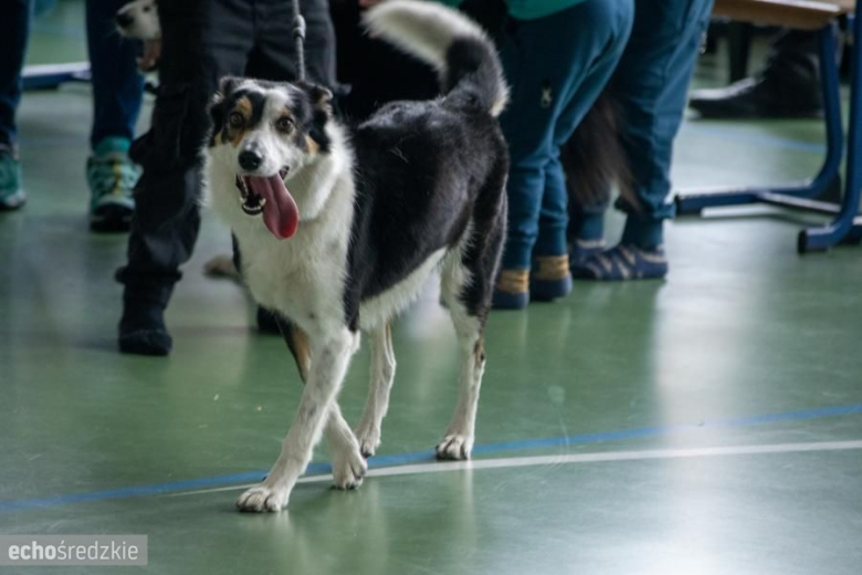 „Carmen w Rekordzie – Polski dla Emilki”