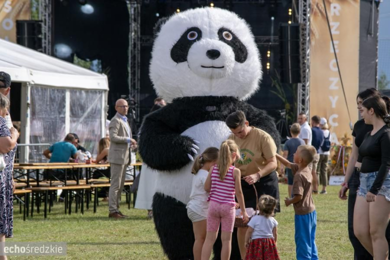 Święto plonów w Rzeczycy za nami