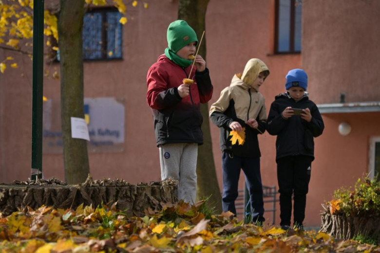 Dzień Ziemniaka w Malczycach