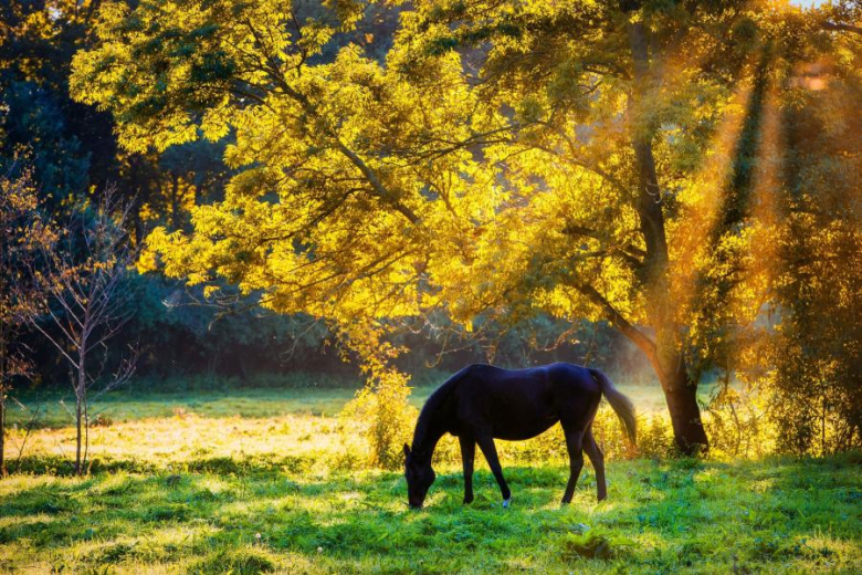 Konkurs fotograficzny