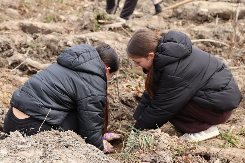 Wspólne sadzenie drzew