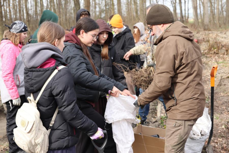 Wspólne sadzenie drzew