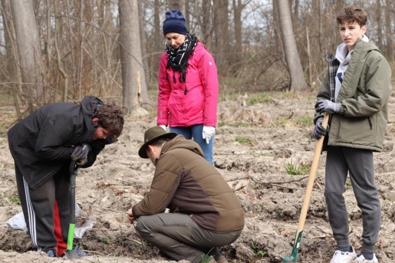 Wspólne sadzenie drzew