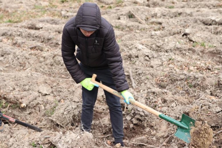 Wspólne sadzenie drzew