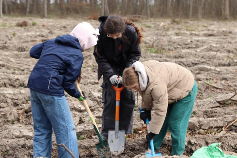 Wspólne sadzenie drzew