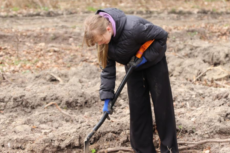 Wspólne sadzenie drzew