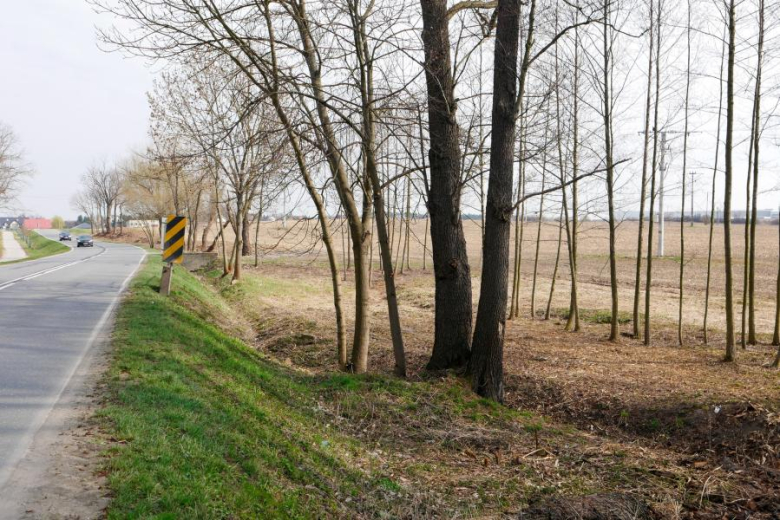 W ramach inwestycji powstaną m.in. miejsca odpoczynku, oświetlenie solarne, stacje naprawy