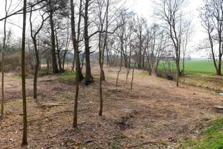 W ramach inwestycji powstaną m.in. miejsca odpoczynku, oświetlenie solarne, stacje naprawy