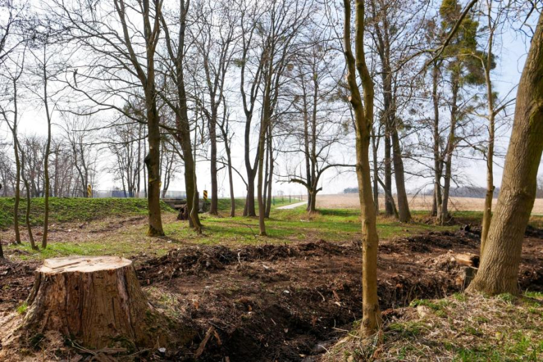 W ramach inwestycji powstaną m.in. miejsca odpoczynku, oświetlenie solarne, stacje naprawy