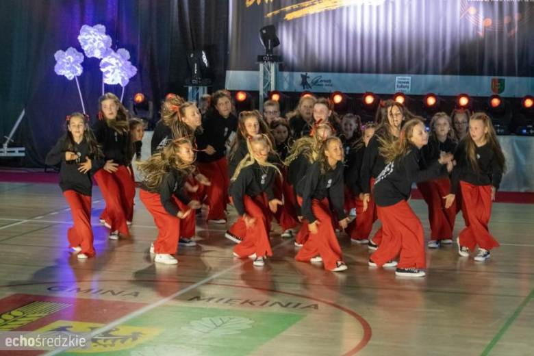 Street&Art Dance Festival roztańczył Miękinię
