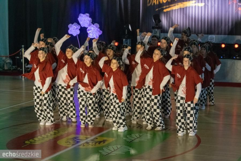 Street&Art Dance Festival roztańczył Miękinię