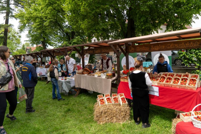 Park Miejski w Środzie Śląskiej ponownie przeniósł mieszkańców w czasy średniowiecza