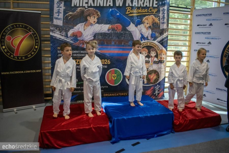 III Mistrzostwa Gminy Miękinia w Karate – Budokan Cup
