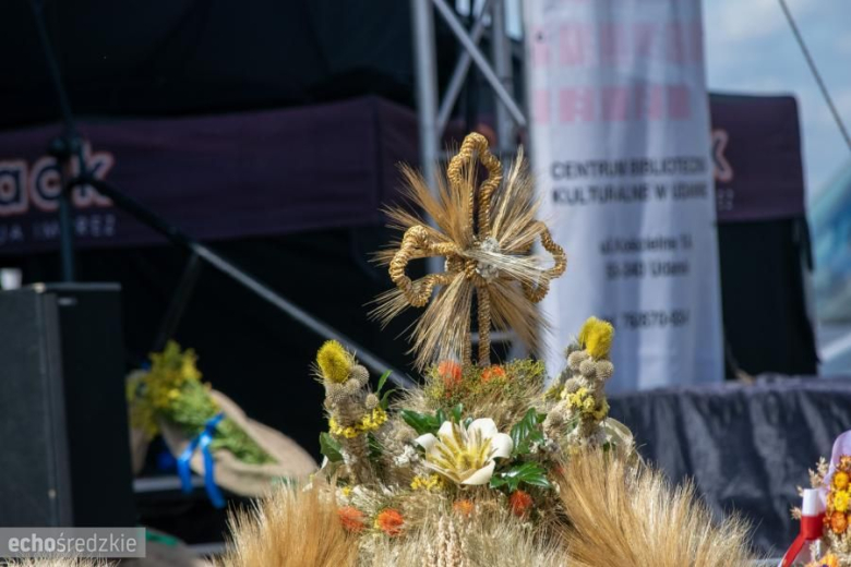 Muzyczne gwiazdy rozgrzały publiczność