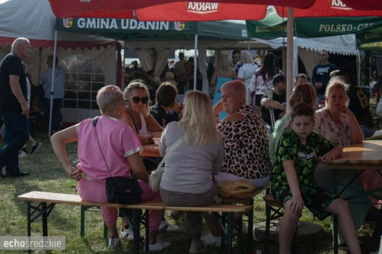 Muzyczne gwiazdy rozgrzały publiczność