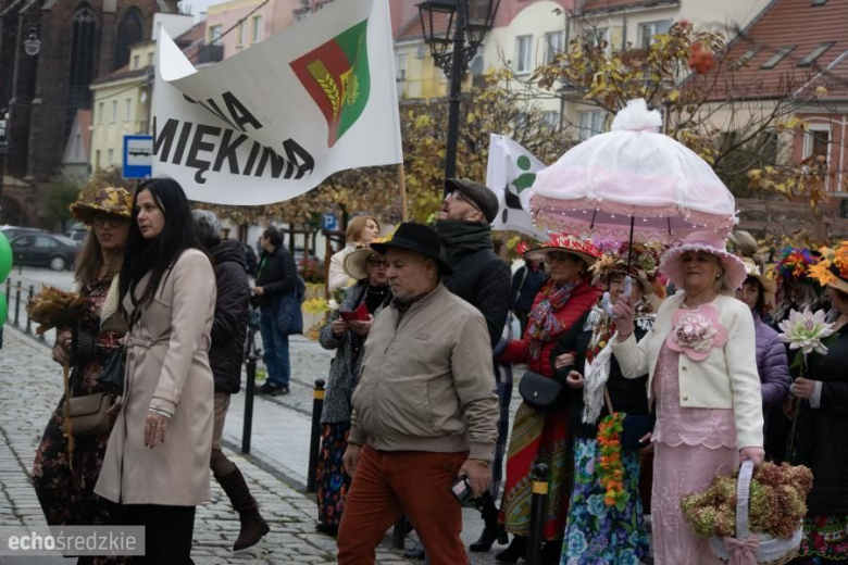 Powiatowy Dzień Seniora