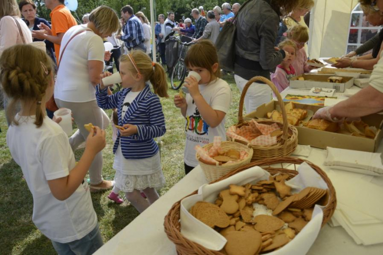 Festyn Radości w Środzie Śląskiej