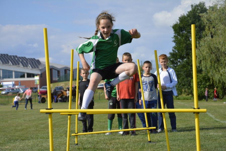 Festyn Radości w Środzie Śląskiej