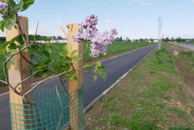 Ścieżka rowerowa relacji Chomiąża - Malczyce oficjalnie otwarta
