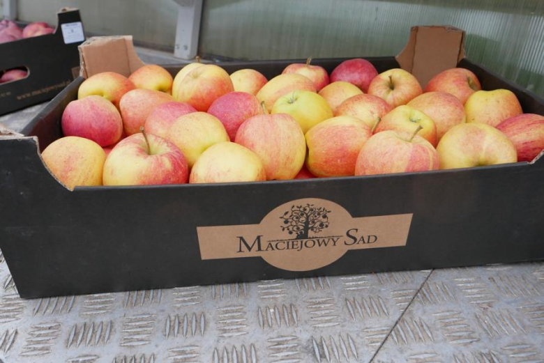 Parada Zdrowia 2024 w Środzie Śląskiej