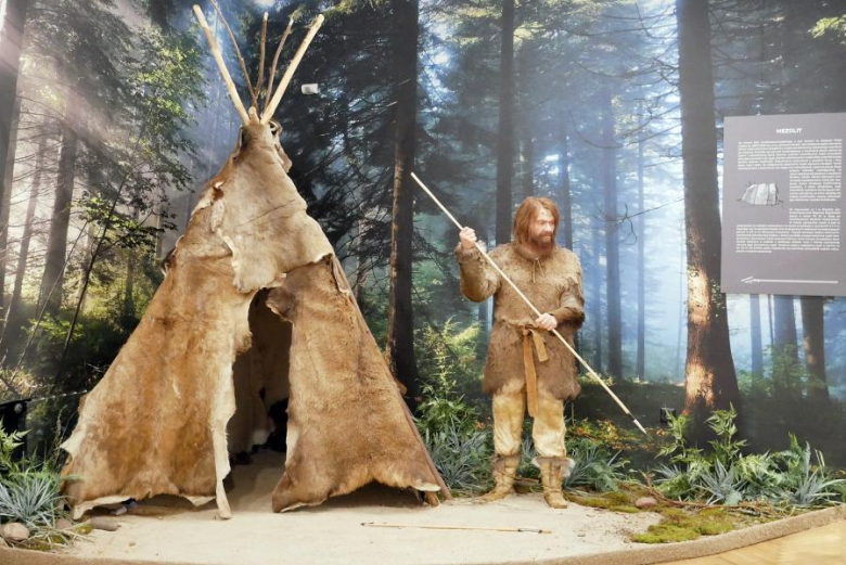 Wystawa "Archeologia ziemi średzkiej"