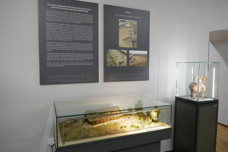 Wystawa "Archeologia ziemi średzkiej"