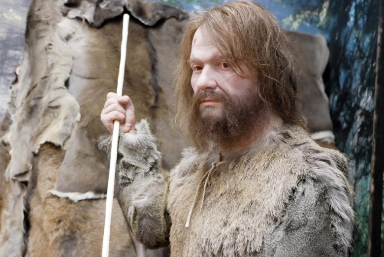 Wystawa "Archeologia ziemi średzkiej"