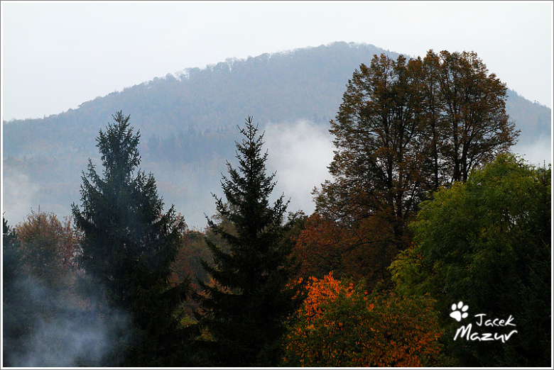 24. Rajd Dolnośląski w obiektywie 