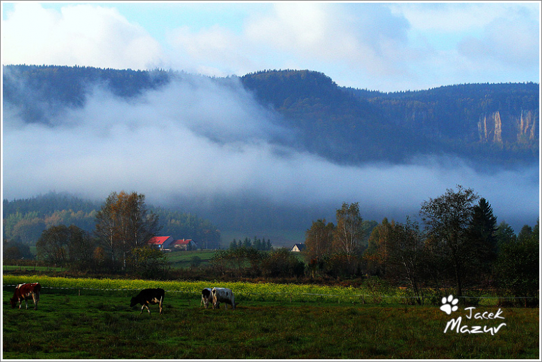 24. Rajd Dolnośląski w obiektywie 
