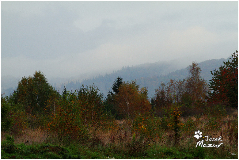 24. Rajd Dolnośląski w obiektywie 